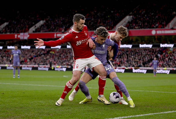 类似于英格 类似于英格