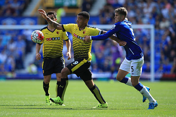 健康的生活 健康的生活